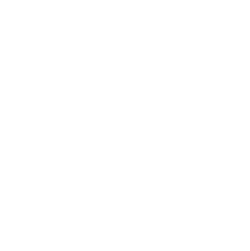Risepointe Logo White